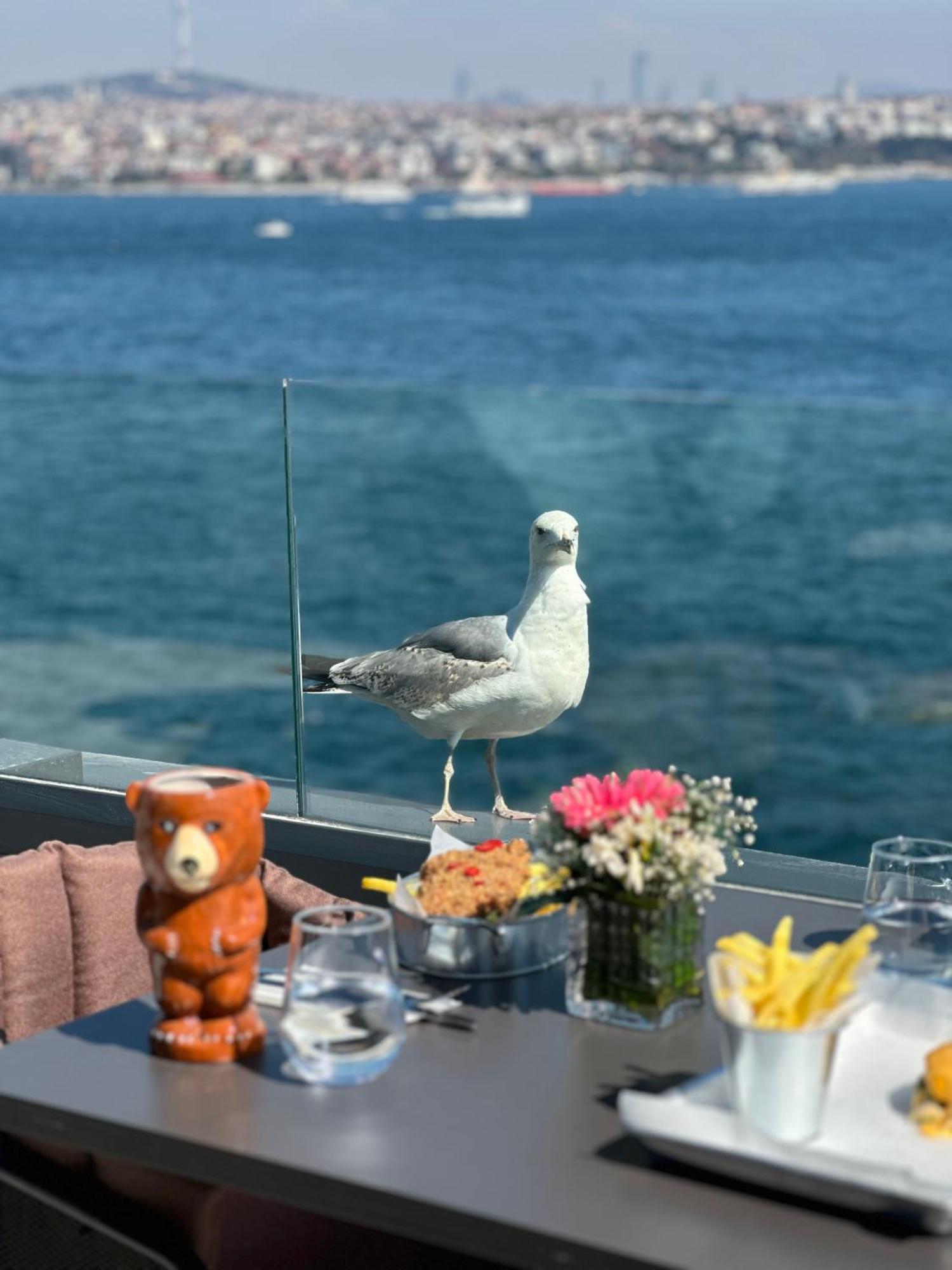 Pera Bosphorus Hotel 伊斯坦布尔 外观 照片